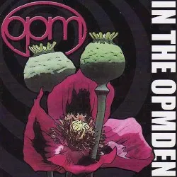 In the OPMDEN