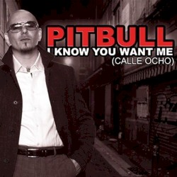 I Know You Want Me album by Pitbull