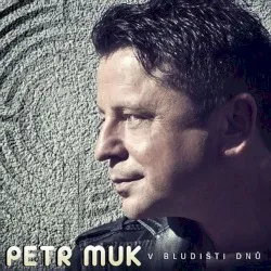 V bludišti dnů album by Petr Muk
