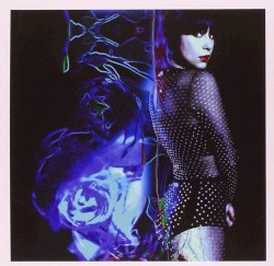 Too True album by Dum Dum Girls
