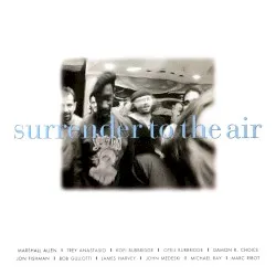 Surrender to the Air