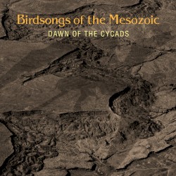 Dawn of the Cycads album by Birdsongs of the Mesozoic