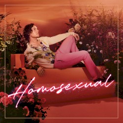 Homosexual album by Darren Hayes