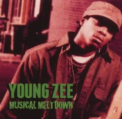 Musical Meltdown album by Young Zee