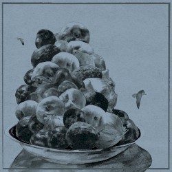 Painted Shut album by Hop Along