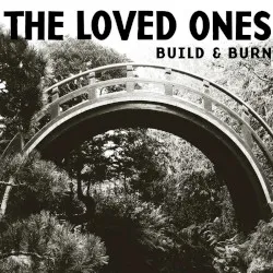 Build & Burn album by The Loved Ones