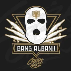 Ciężki gnój album by Gang Albanii