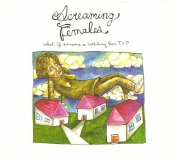 What If Someone Is Watching Their T.V.? album by Screaming Females