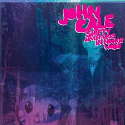Shifty Adventures in Nookie Wood album by John Cale