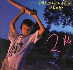 2X4 album by Guadalcanal Diary