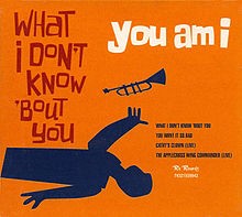 What I Don't Know 'bout You album by You Am I