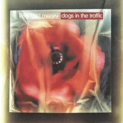 Dogs in the Traffic