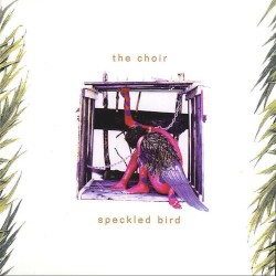 Speckled Bird album by The Choir
