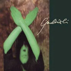 X album by Robert Gawliński