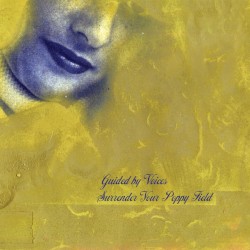 Surrender Your Poppy Field album by Guided by Voices