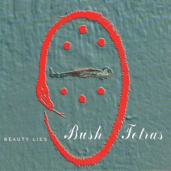 Beauty Lies