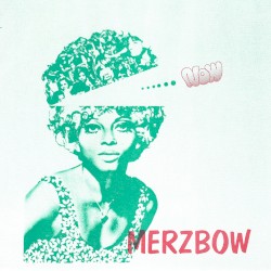 White Blues album by Merzbow
