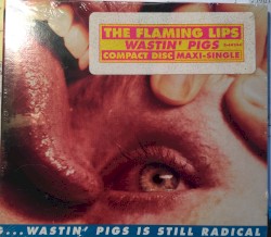 Yeah, I Know It's a Drag... But Wastin' Pigs Is Still Radical album by The Flaming Lips
