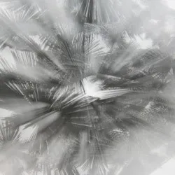 Wonderful Things: Retrospective