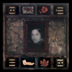 Face of Collapse album by Dazzling Killmen