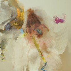 Head of Roses album by Jenn Wasner