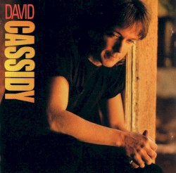 David Cassidy album by David Cassidy