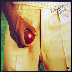 There's the Rub album by Wishbone Ash