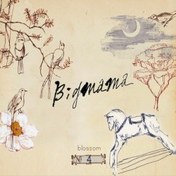 Blossom album by Big Mama