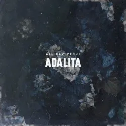 All Day Venus album by Adalita Srsen