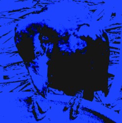 Indigo Dada album by Merzbow