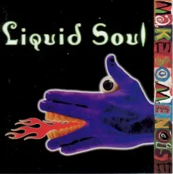 Make Some Noise album by Liquid Soul