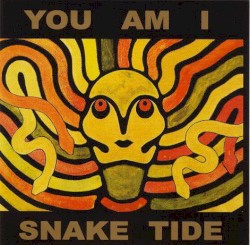 Snake Tide album by You Am I