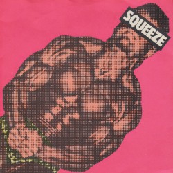 Take Me I'm Yours album by Squeeze