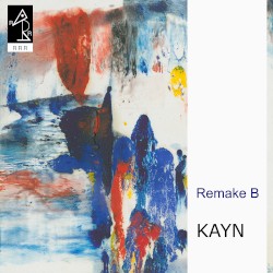 Remake B album by Roland Kayn