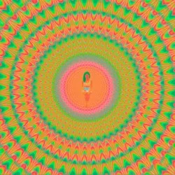Trip
