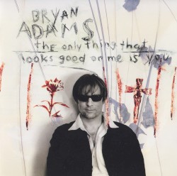 The Only Thing That Looks Good on Me Is You album by Bryan Adams