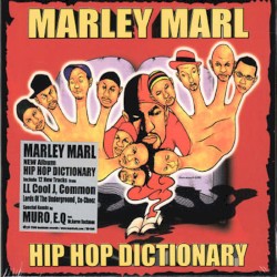 Hip Hop Dictionary album by Marley Marl