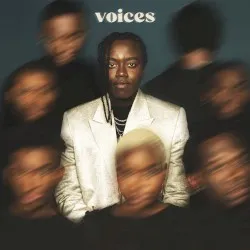 Voices album by Tusse