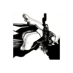 Born Again in the USA album by Loose Fur