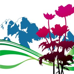 International album by New Order