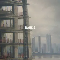 Banks album by Paul Banks