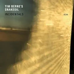 Incidentals album by Tim Berne