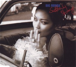 Suddenly Strange album by Bic Runga