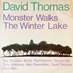 Monster Walks the Winter Lake album by David Thomas