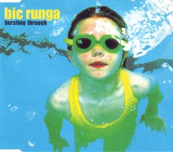 Bursting Through album by Bic Runga