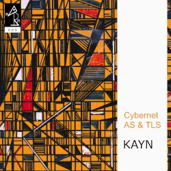 Cybernet AS & TLS album by Roland Kayn