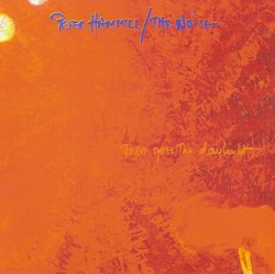 There Goes the Daylight album by Peter Hammill