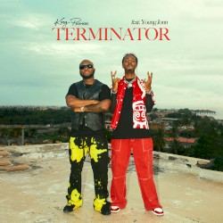 Terminator album by Tiwa Savage