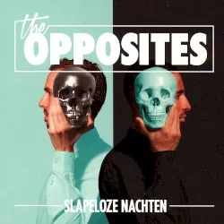 Slapeloze nachten