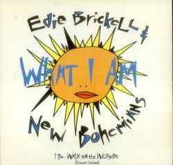 What I Am album by Edie Brickell & New Bohemians